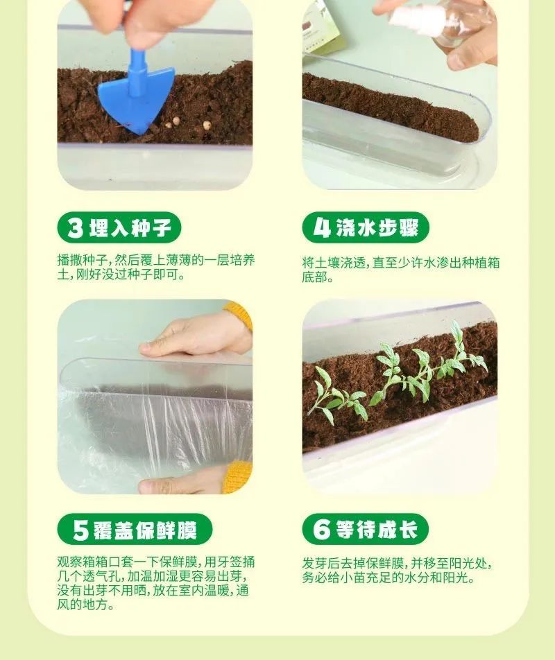 皇家0033990威尼斯 I 儿童益智手工家庭园艺，，，，，爆款类手工莳植攻略！